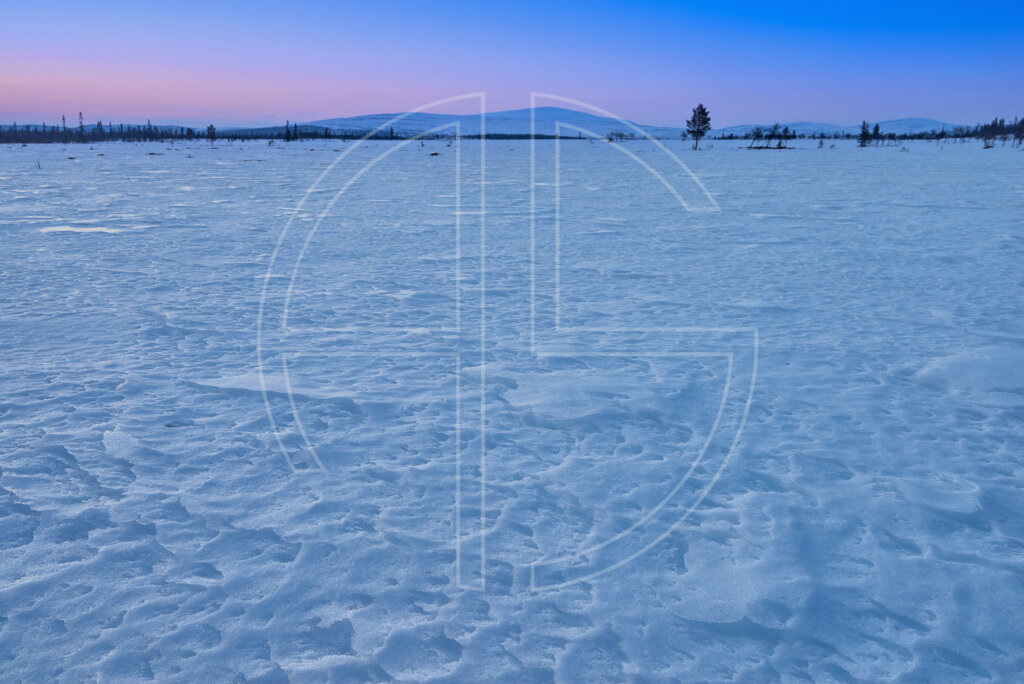 A snow-covered frozen field at dusk.