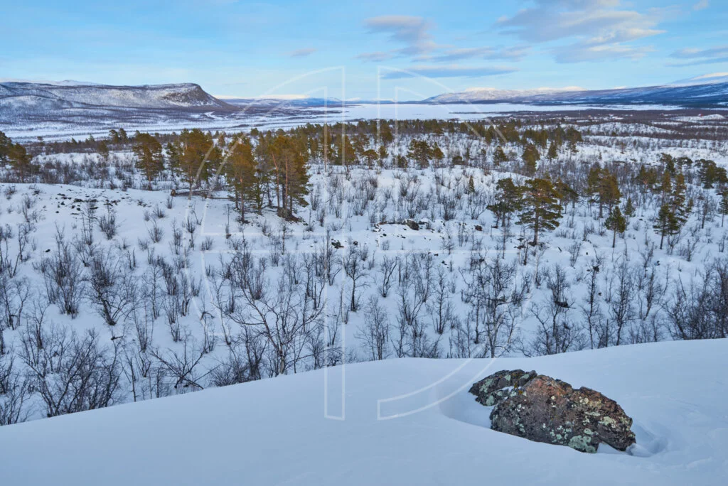 Stretching To Infinity Deep in the winter wilderness. To the right lies a flat stone.