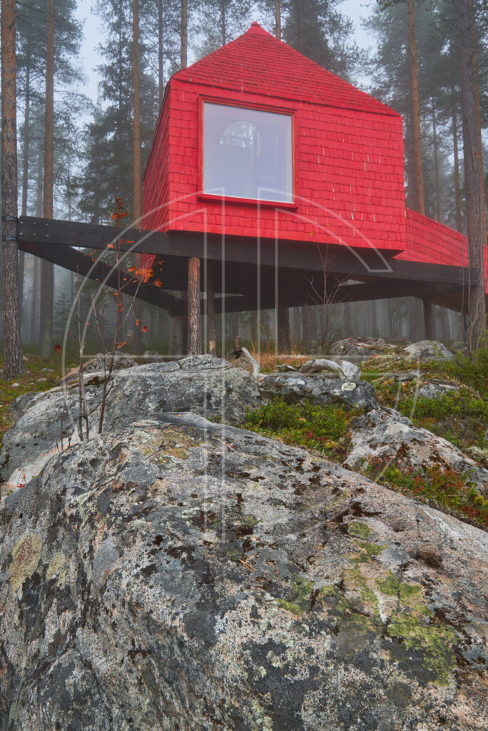 A cabin in the woods.