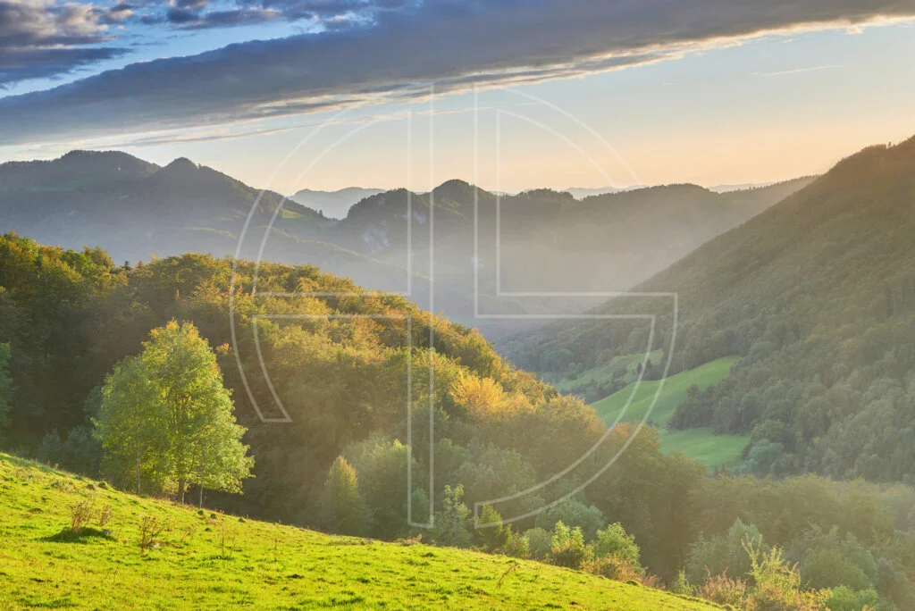 The Chosen One depicts a hilly landscape in soft evening light.