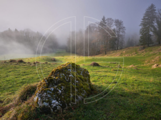 A meadow with a stone and fog lingering in the background.