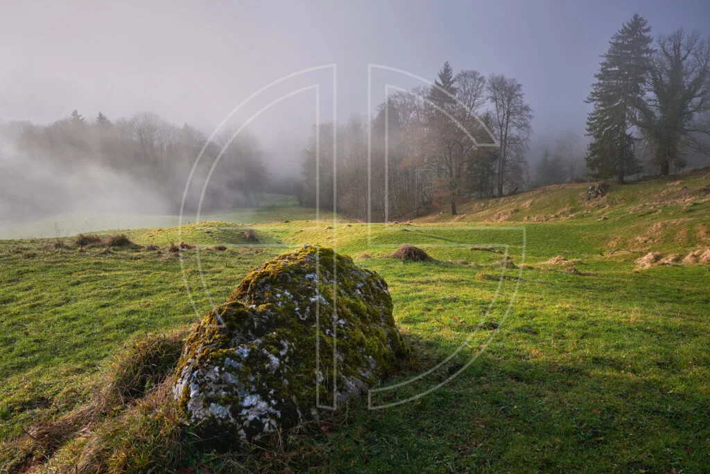 A meadow with a stone and fog lingering in the background.