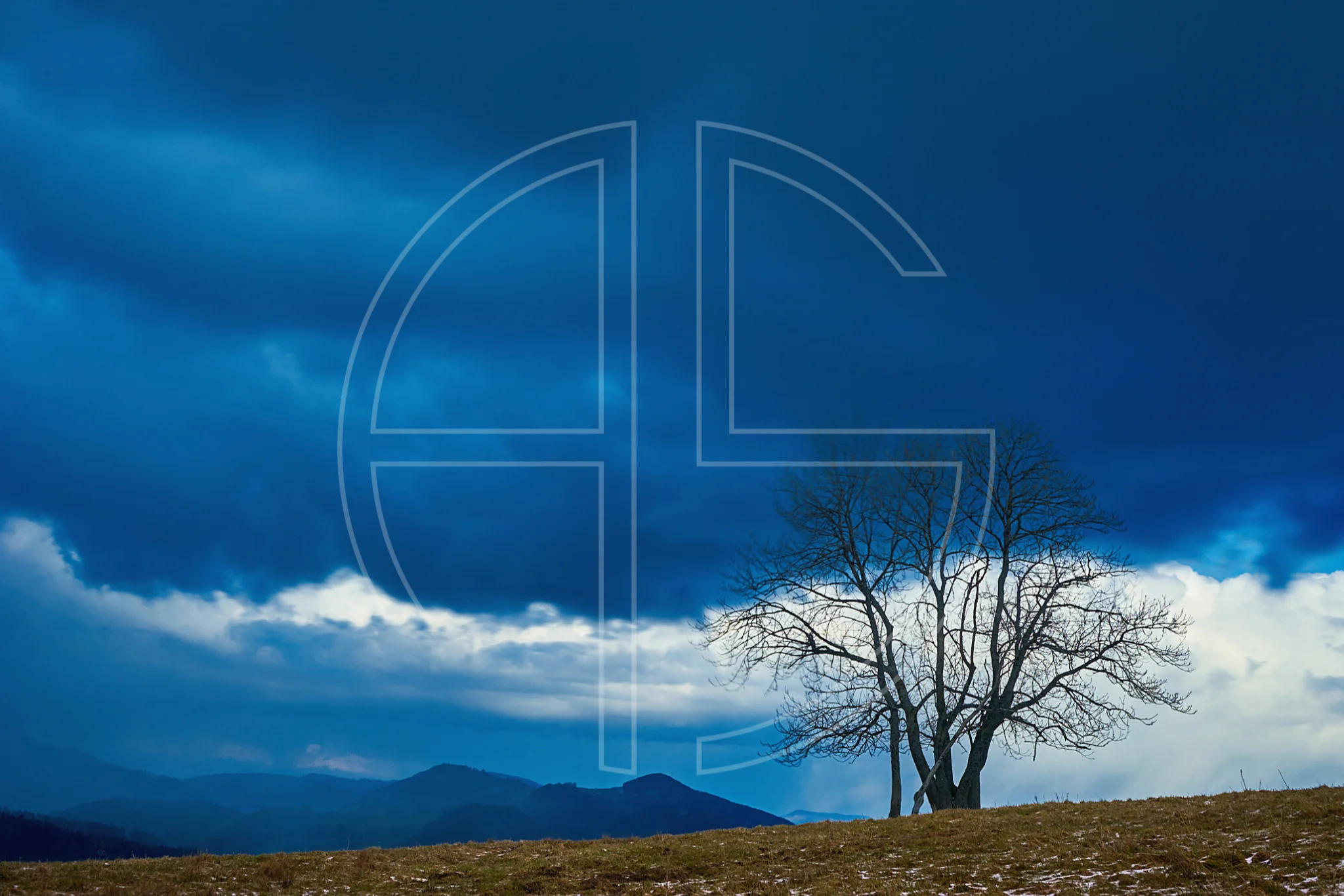 The End Of The World depicts a tree under a stormy sky.