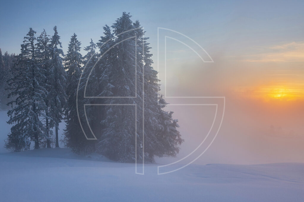 Winter landscape at sunset. Fog blocks out the sun.