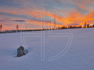 The Rush Is Worth The Risk Sunset in a winter landscape. To the left stands a solitary tree stump.