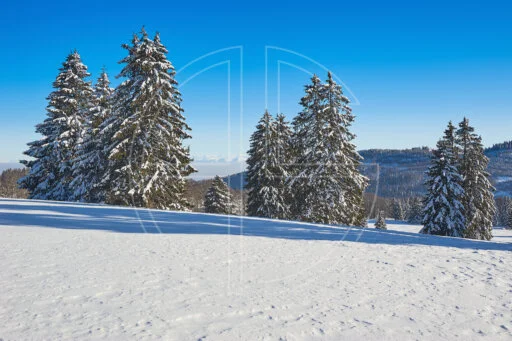 The Unforeseeable Present depicts a winter landscape under a deep blue sky.