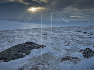 Sunset on a snow-covered hill on a grey and dark day.
