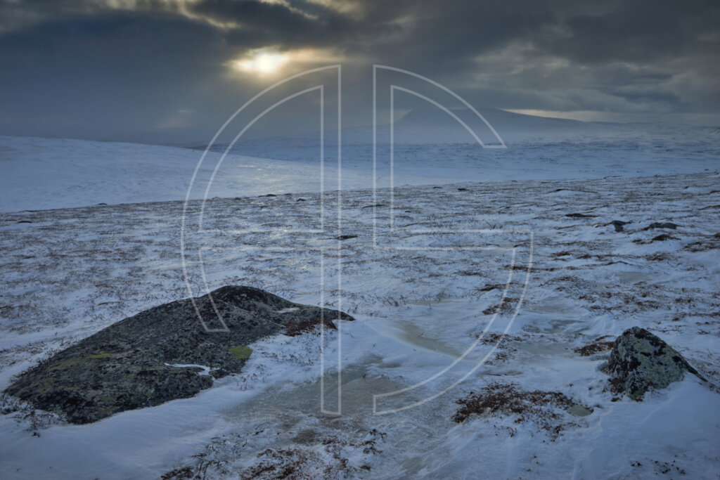 Sunset on a snow-covered hill on a grey and dark day.