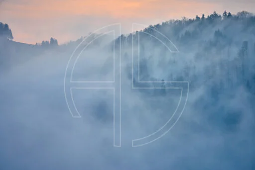 To Conquer The Fog Within depicts a forested, hilly landscape shrouded in dense fog.