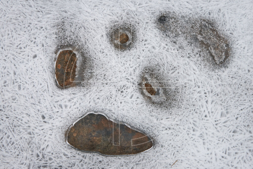 Five stones encased by ice.
