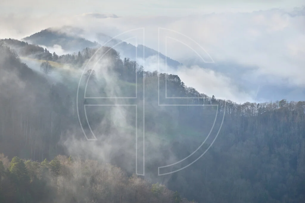 Wooded hills and fog.