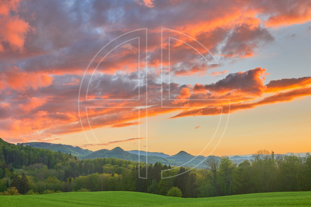 Green hills at sunset. The vast sky has orange clouds.