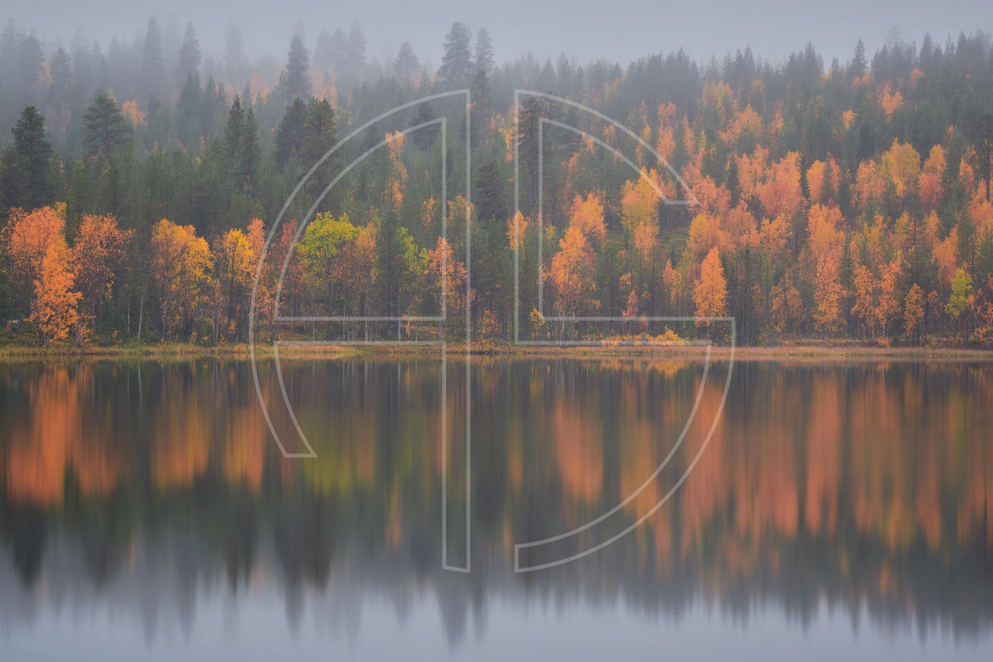 Incident Of Insanity depicts an autumn forest mirrored in a lake.