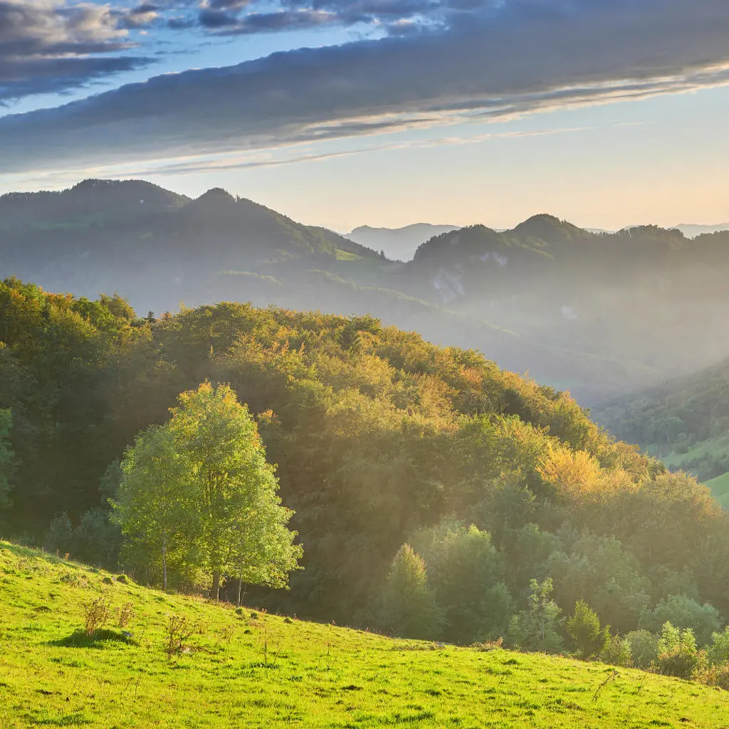 Many boost their ego on social media.