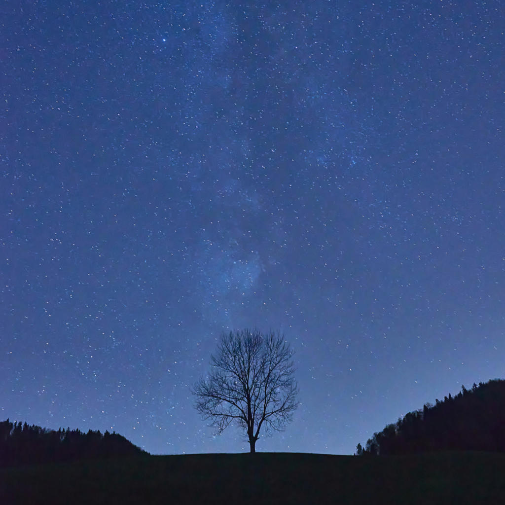 When will my blog posts appear?