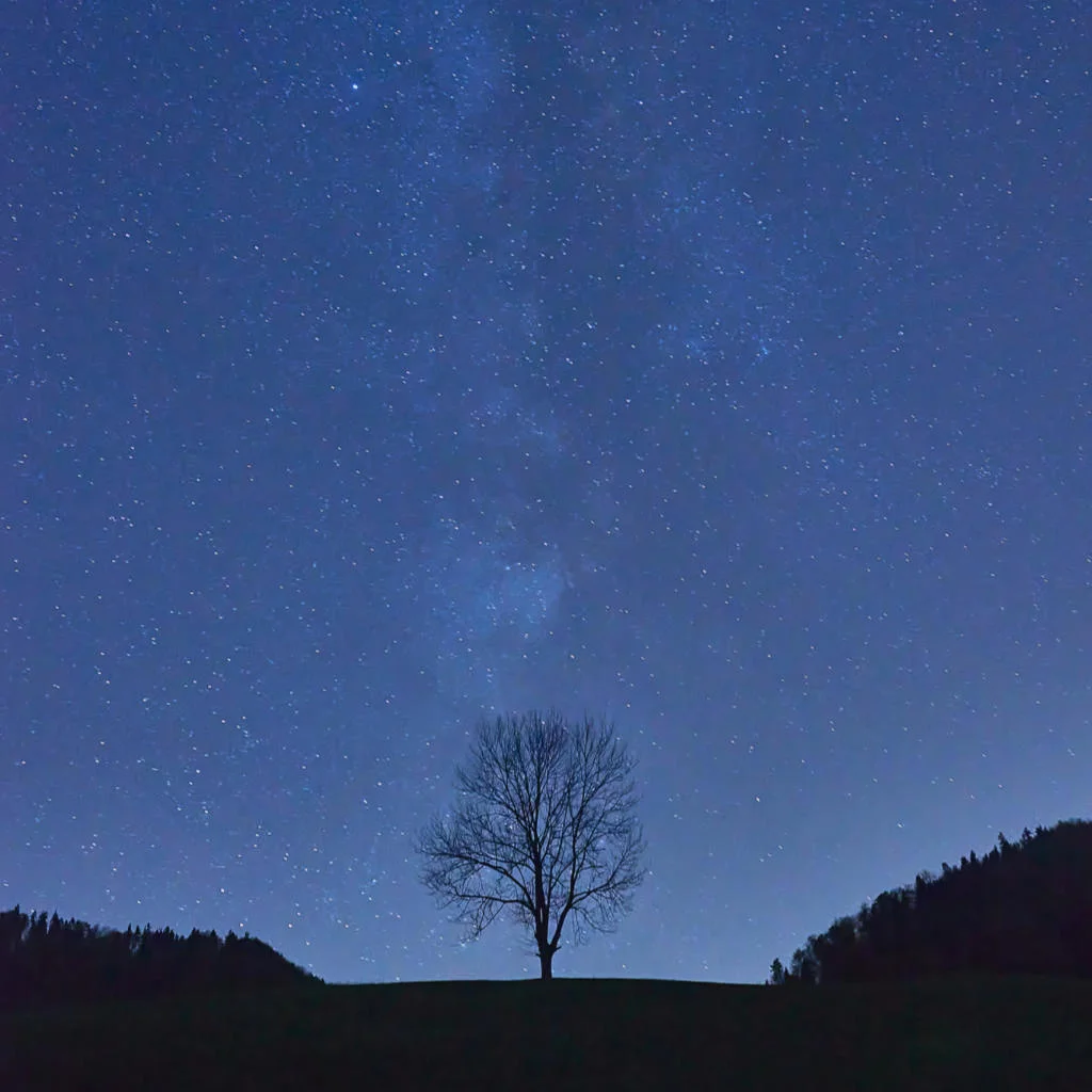 Architect Of Stars When will my blog posts appear?