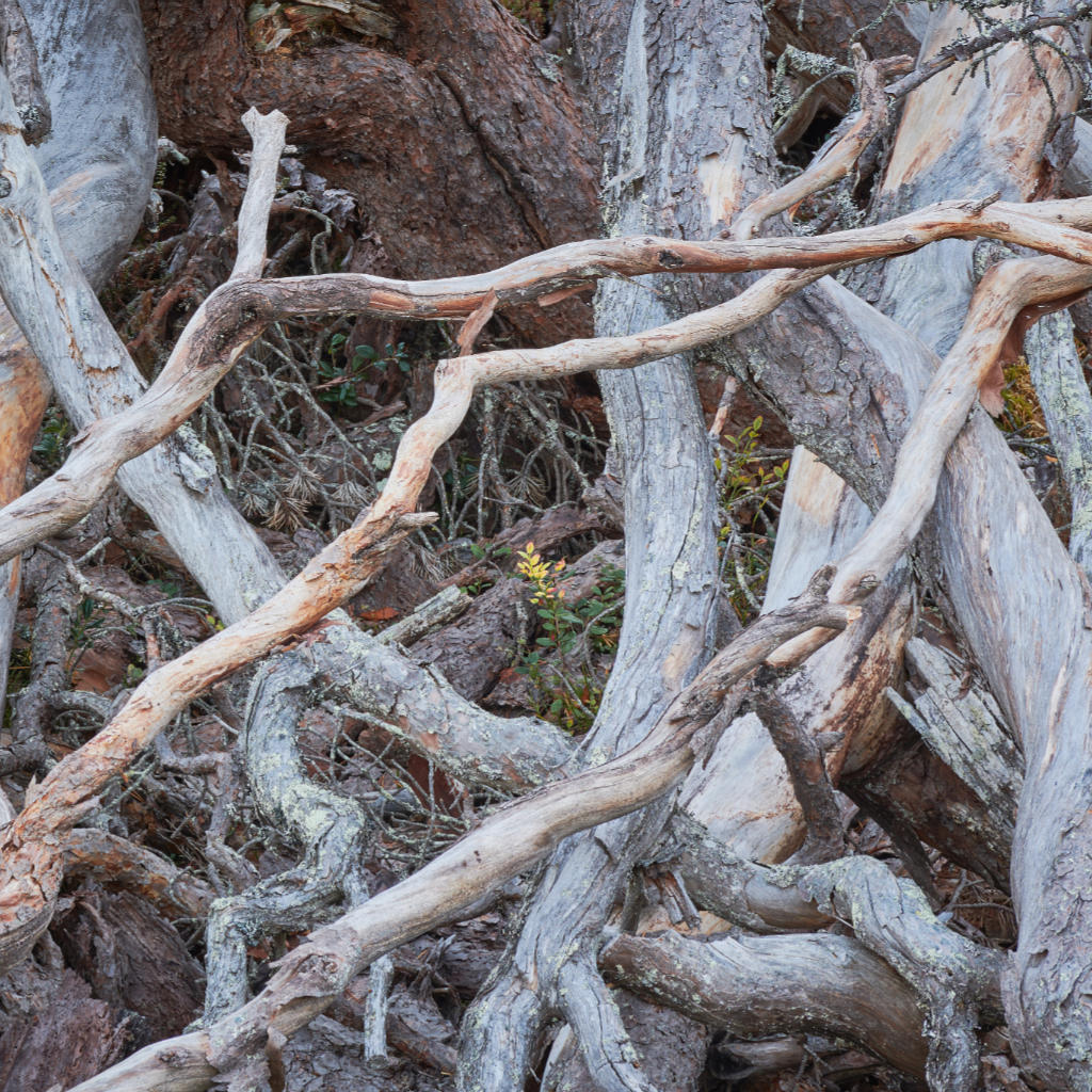 Where does my blog lead to?