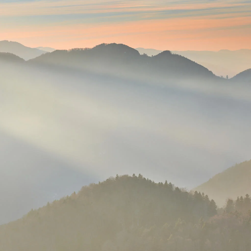 Through Eternity What to expect from my blog?