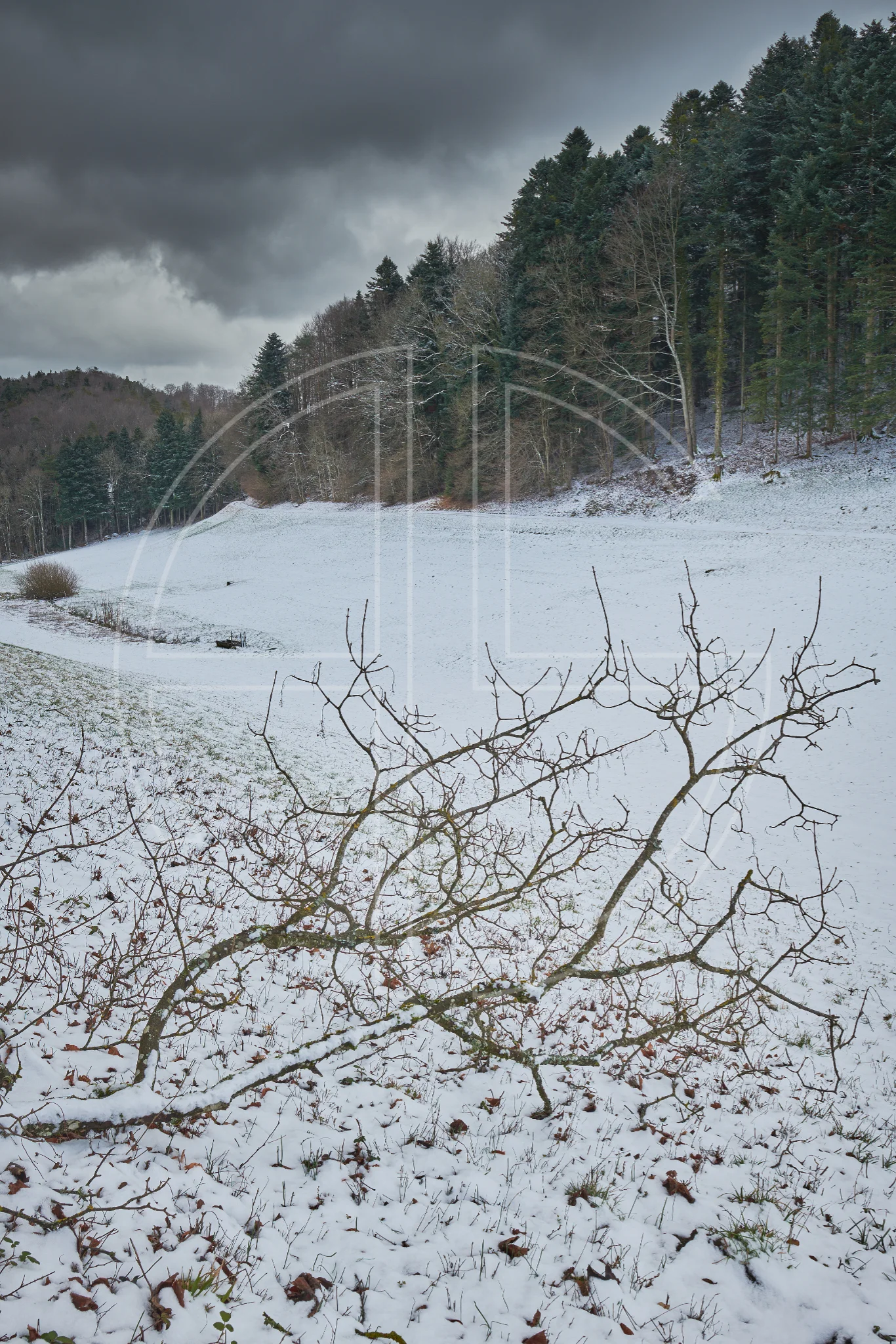 Stained Depression depicts a winter landscape with a branch in the foreground.