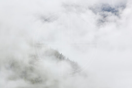 Life After Oblivion depicts a mountain forest in thick fog.