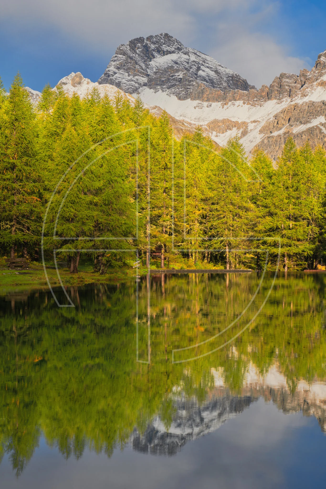 Alpine Aria depicts a pine forest with mountains at a lake in the early morning sun.