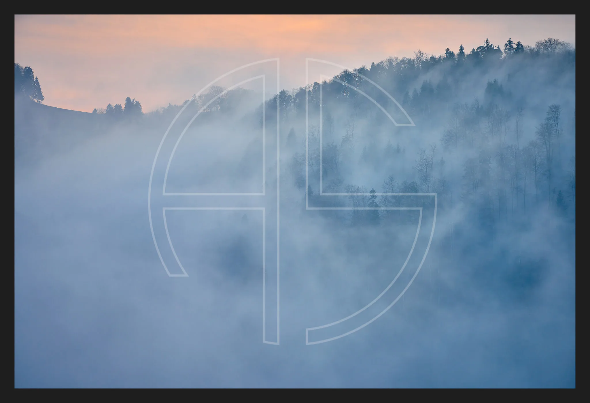 To Conquer The Fog Within depicts a forested, hilly landscape shrouded in dense fog.
